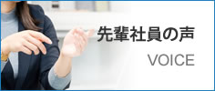 先輩社員の声